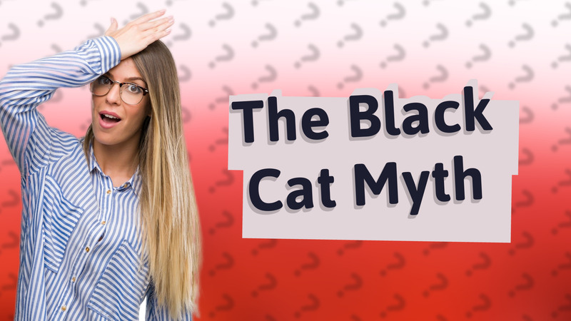 The Black Cat Myth