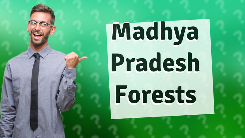 Madhya Pradesh Forests