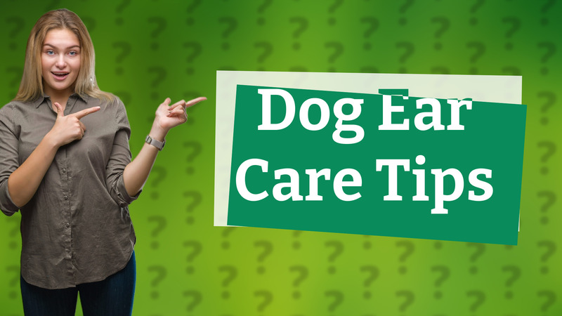 Dog Ear Care Tips