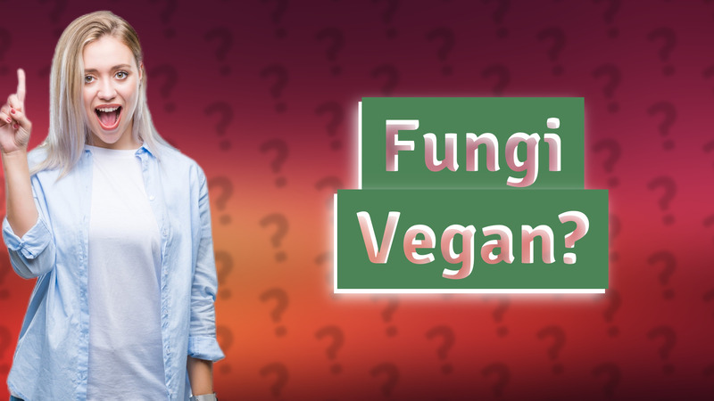 Fungi Vegan?