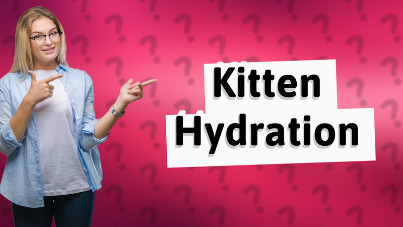 Kitten Hydration