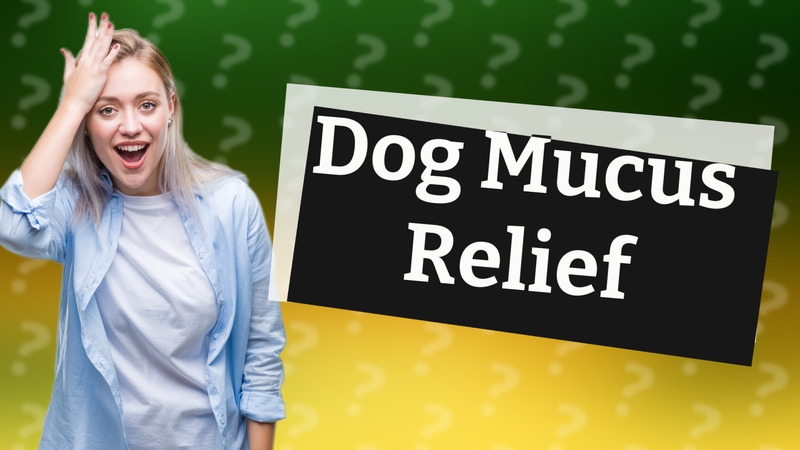 Dog Mucus Relief