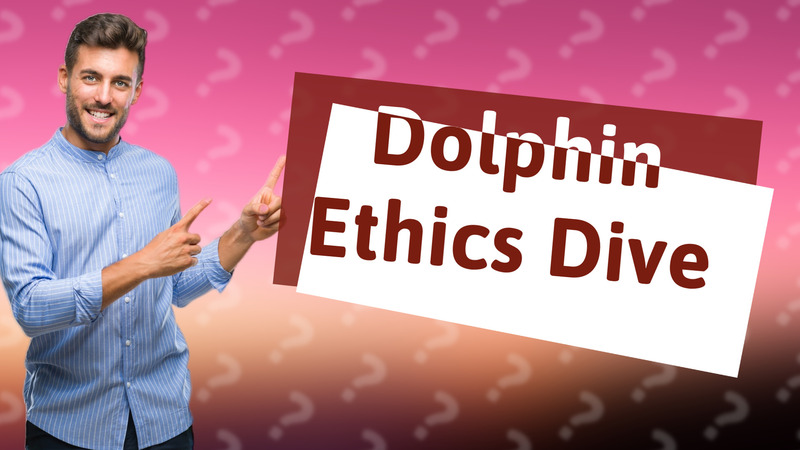 Dolphin Ethics Dive
