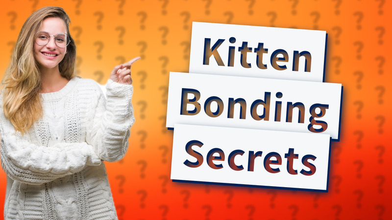 Kitten Bonding Secrets