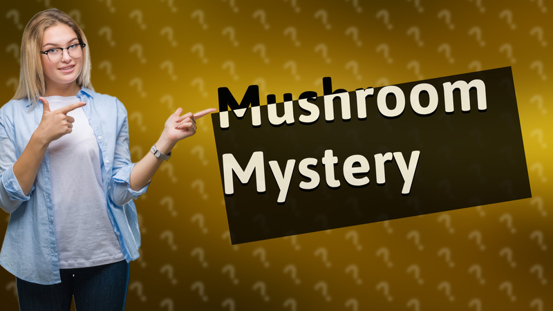 Mushroom Mystery