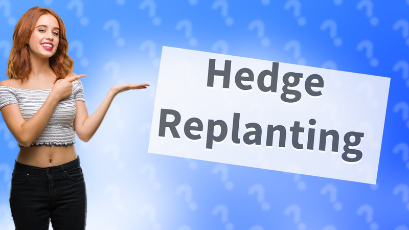 Hedge Replanting