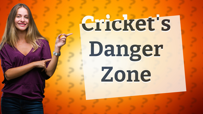 Cricket's Danger Zone