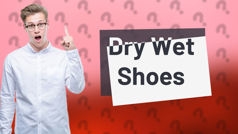 Dry Wet Shoes