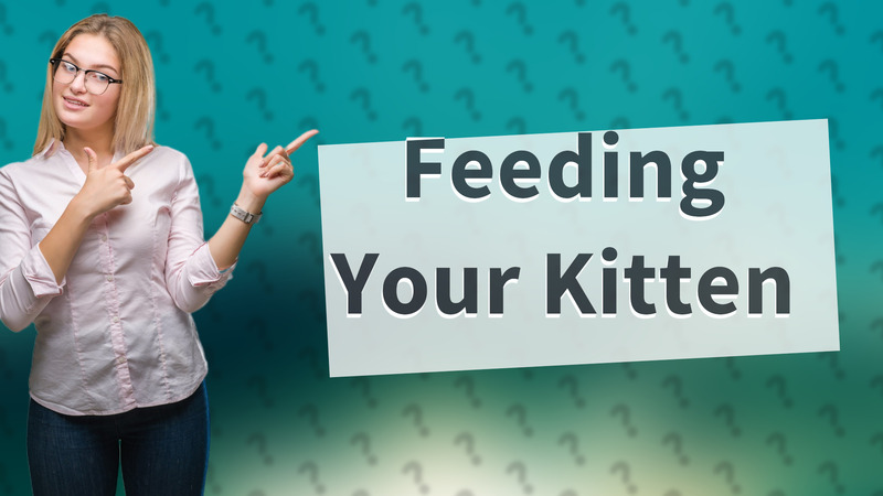 Feeding Your Kitten