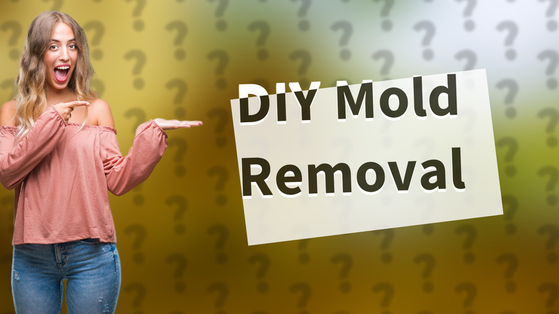 DIY Mold Removal
