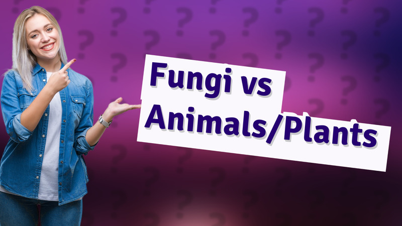 Fungi vs Animals/Plants