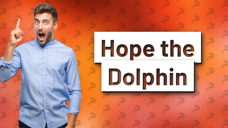 Hope the Dolphin