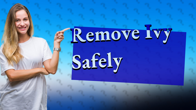 Remove Ivy Safely