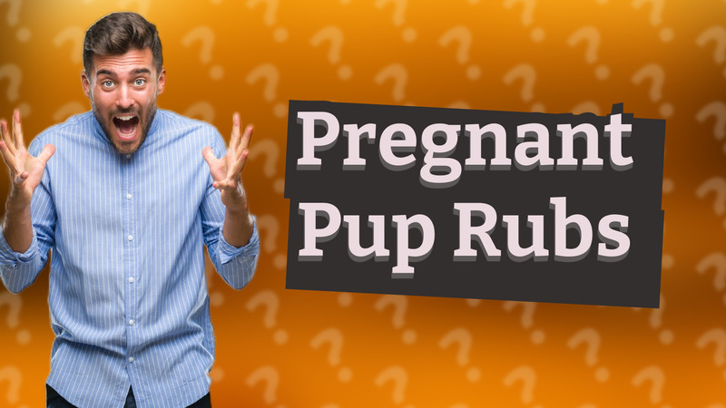 Pregnant Pup Rubs