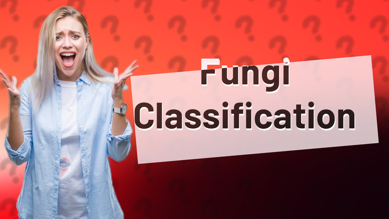 Fungi Classification