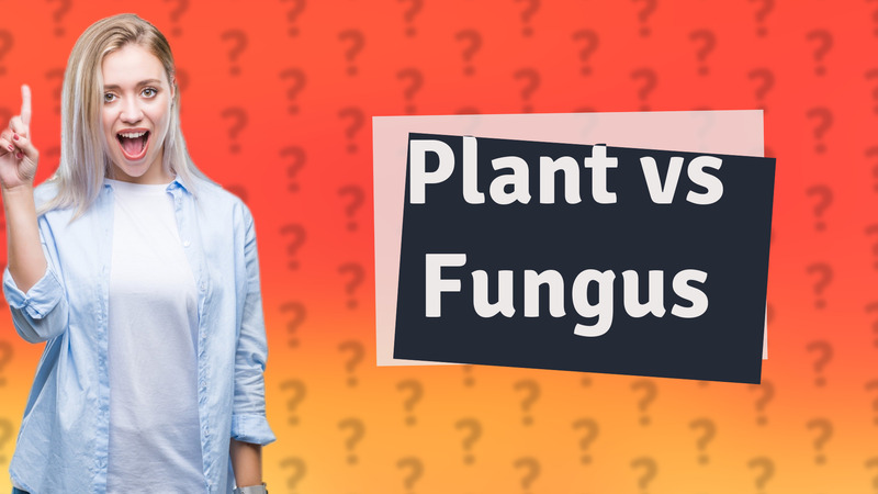 Plant vs Fungus