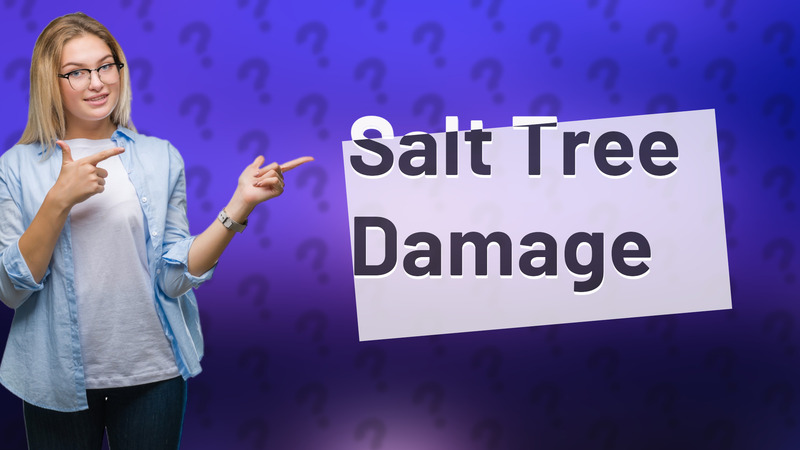Salt Tree Damage
