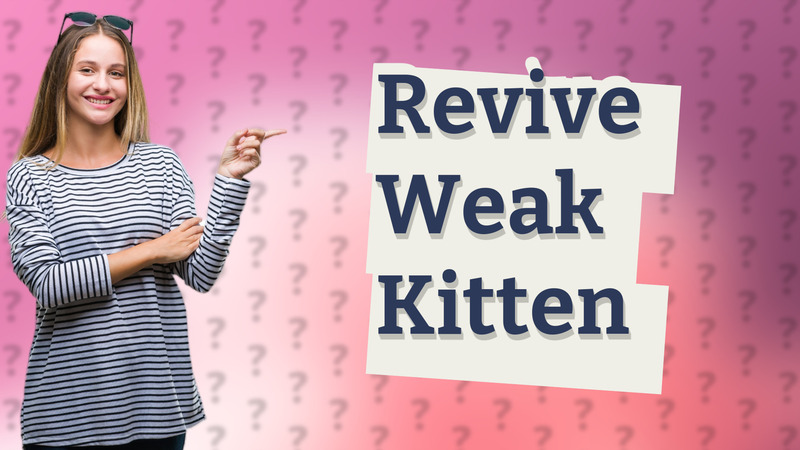 Revive Weak Kitten