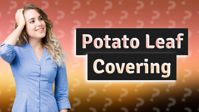 Potato Leaf Covering