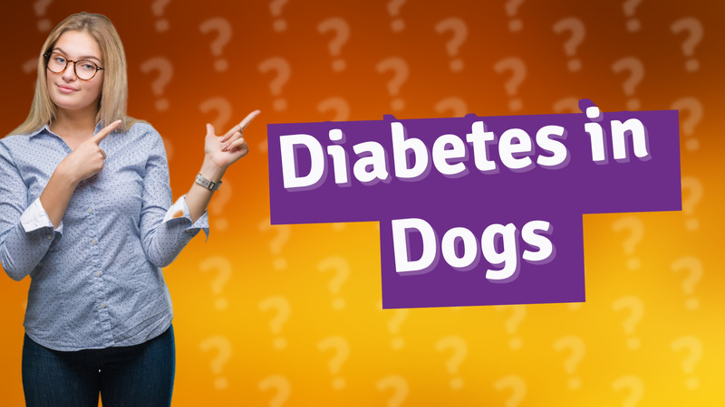 Diabetes in Dogs