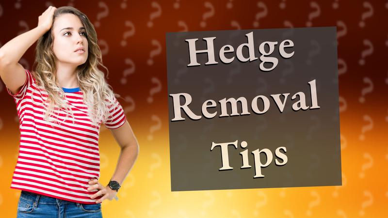 Hedge Removal Tips