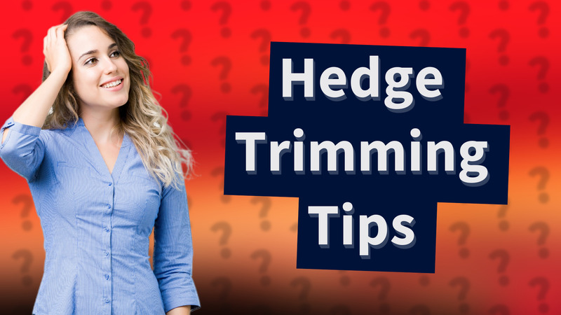 Hedge Trimming Tips