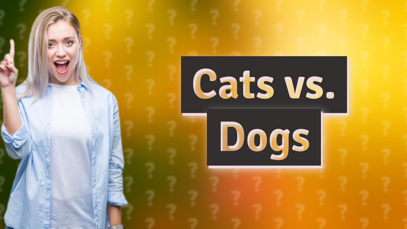 Cats vs. Dogs