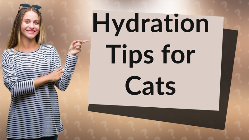 Hydration Tips for Cats