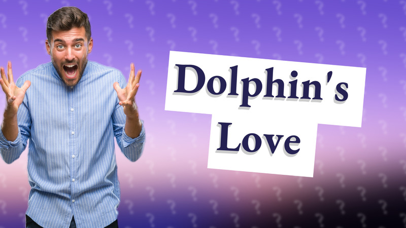 Dolphin's Love