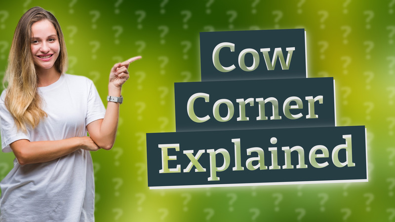 Cow Corner Explained