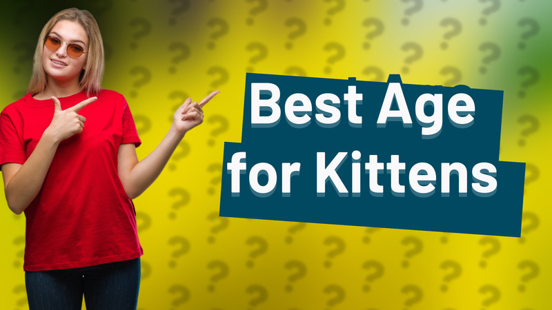 Best Age for Kittens