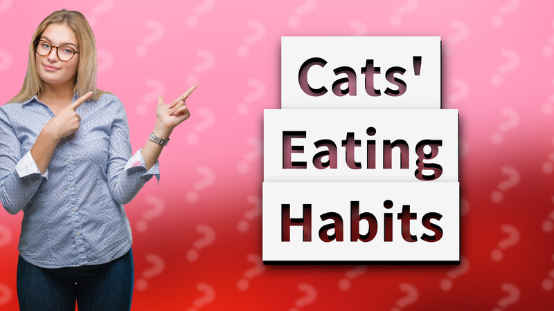 Cats' Eating Habits