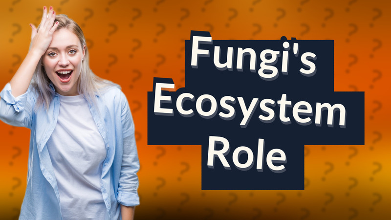 Fungi's Ecosystem Role