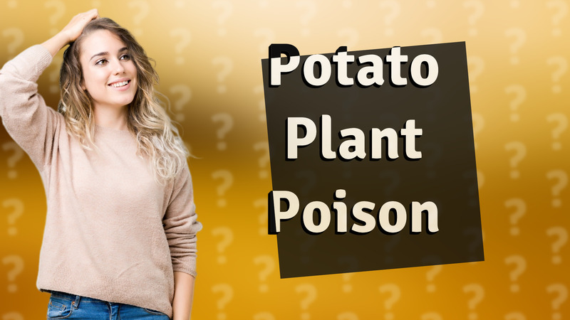 Potato Plant Poison