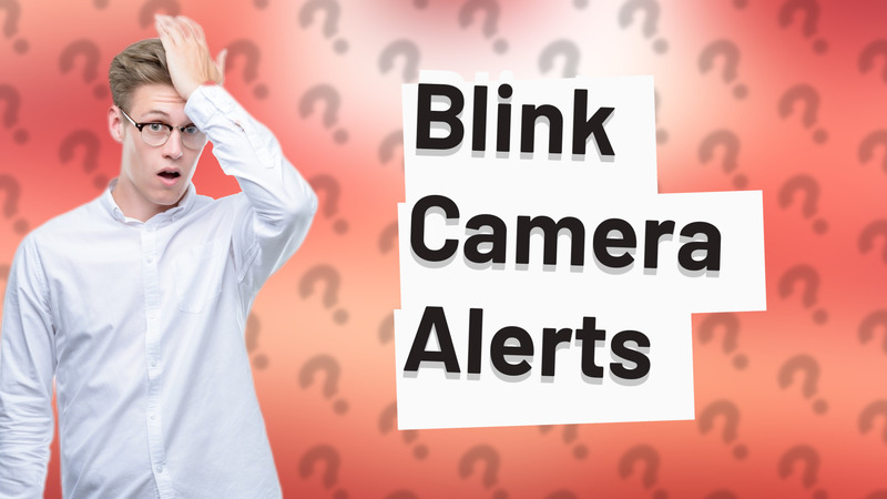 Blink Camera Alerts