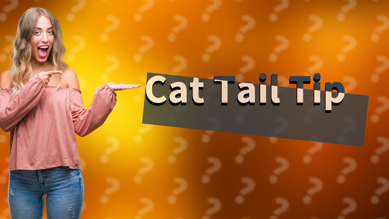 Cat Tail Tip