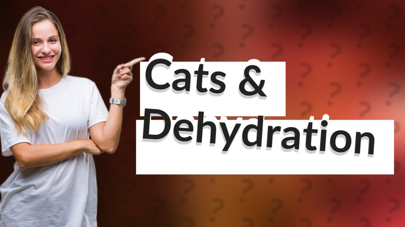 Cats & Dehydration