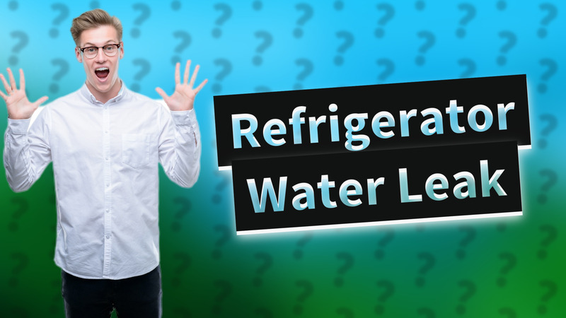 Refrigerator Water Leak