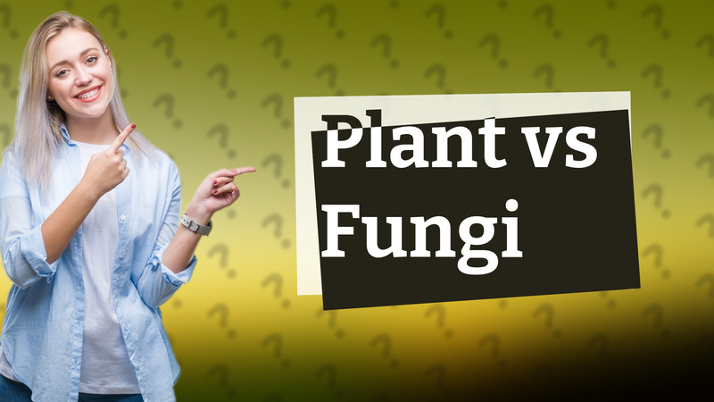 Plant vs Fungi