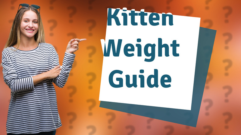 Kitten Weight Guide