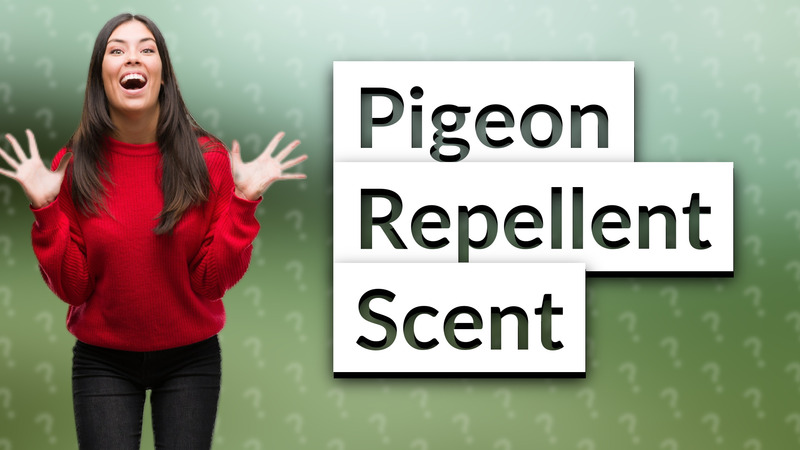 Pigeon Repellent Scent