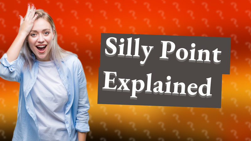 Silly Point Explained