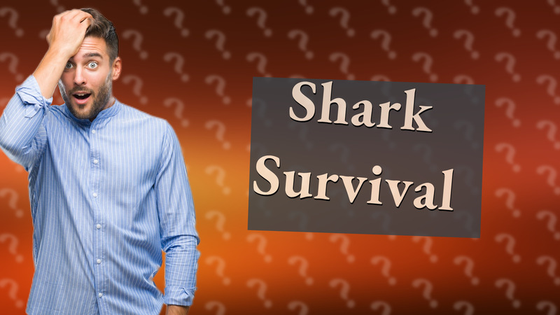 Shark Survival