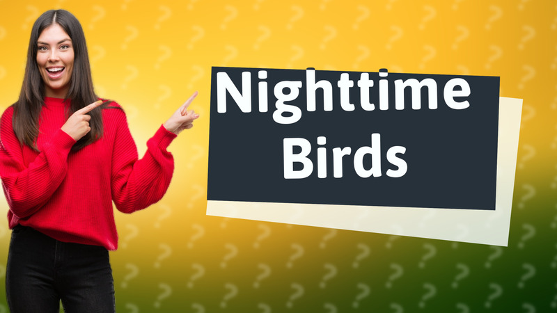 Nighttime Birds