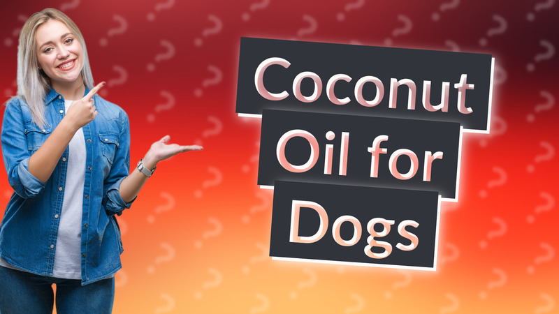 Coconut Oil for Dogs