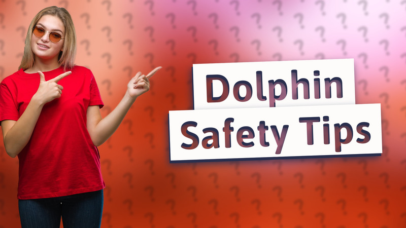 Dolphin Safety Tips