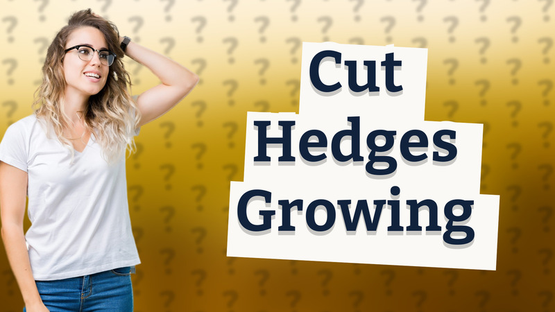 Cut Hedges Growing