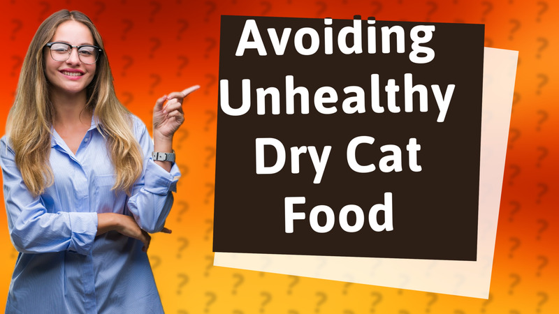 Avoiding Unhealthy Dry Cat Food