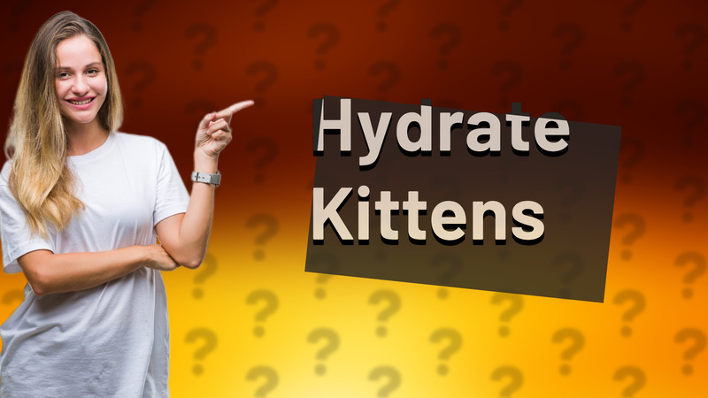 Hydrate Kittens
