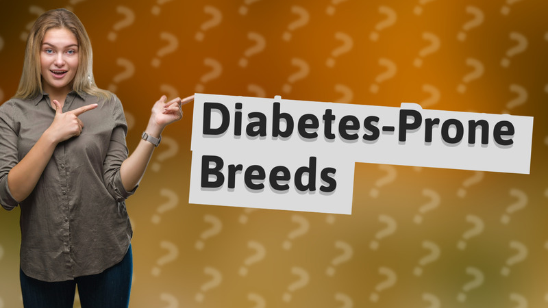 Diabetes-Prone Breeds
